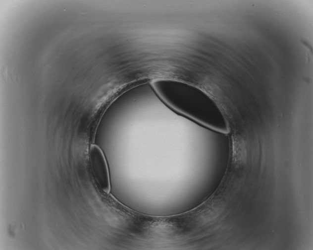 X0000103300348200809051527