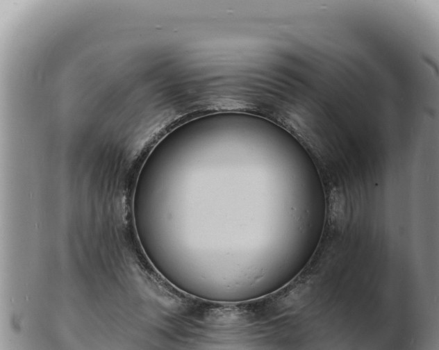 X0000103300351200809051528