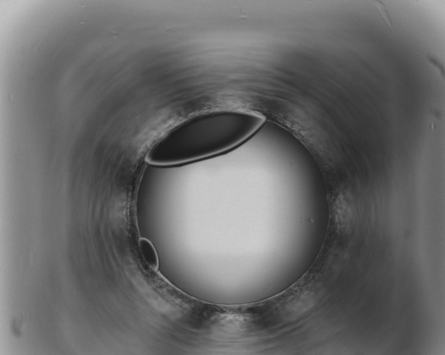 X0000103300352200809051528