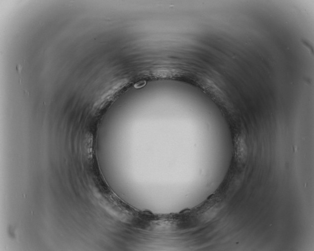 X0000103300356200809051528