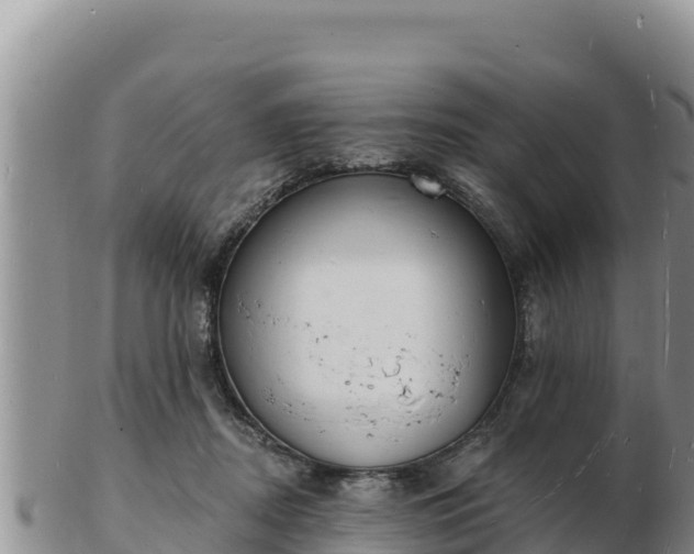 X0000103300362200809051528