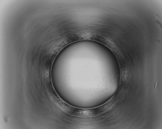 X0000103300365200809051528