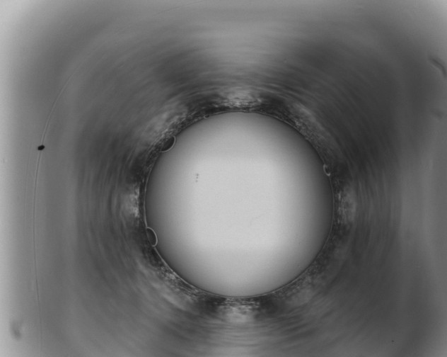 X0000103300368200809051528