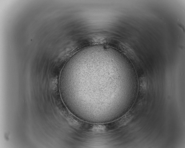 X0000103300369200809051528