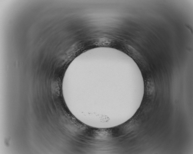 X0000103300370200809051528