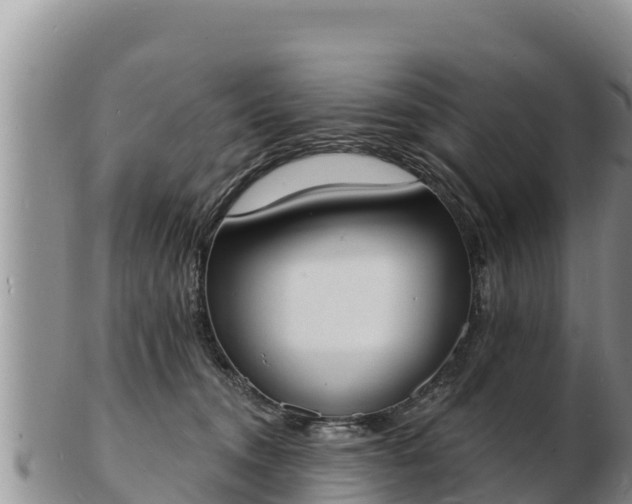 X0000103300372200809051528