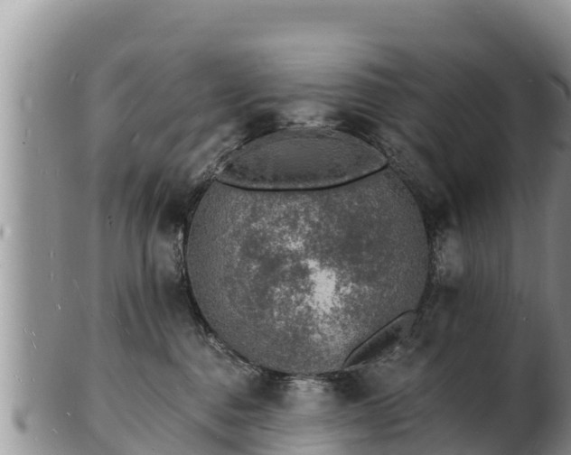 X0000103300376200809051528