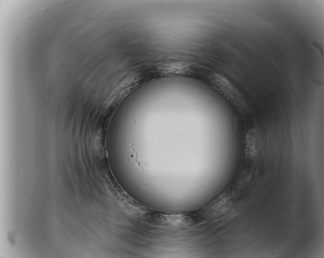 X0000103300377200809051528