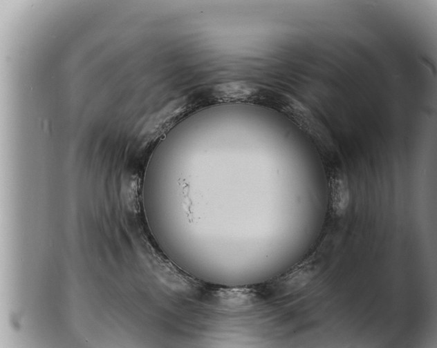 X0000103300378200809051528