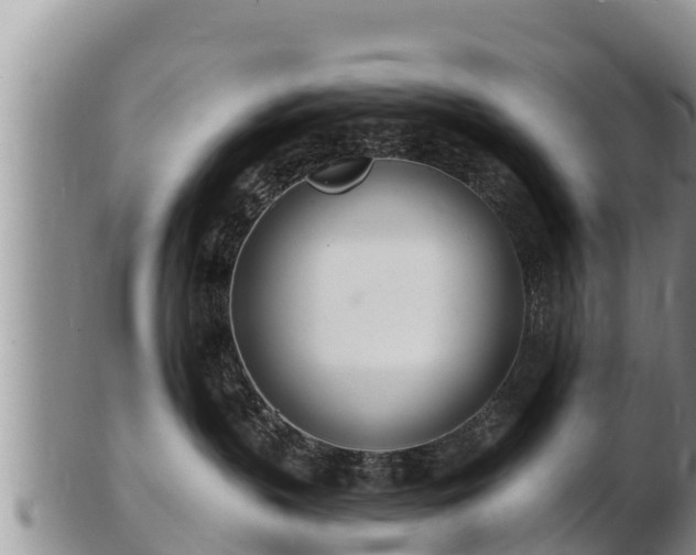 X0000103300383200809051528