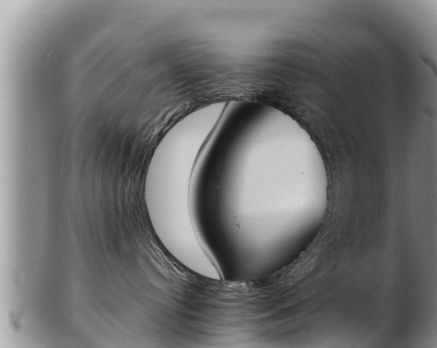 X0000103300384200809051528