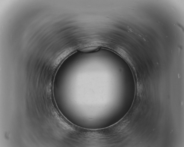 X0000103300389200809051527