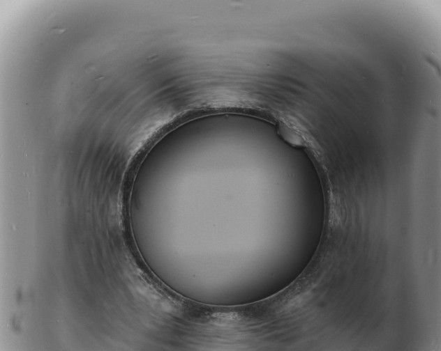 X0000103300391200809051527