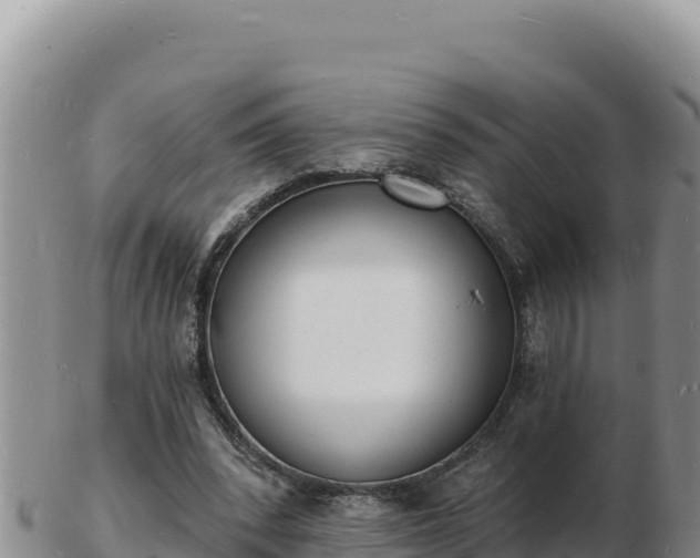 X0000103300392200809051527