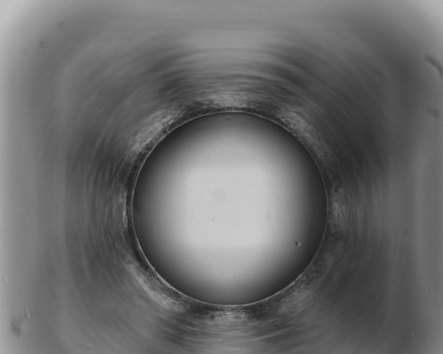 X0000103300398200809051527