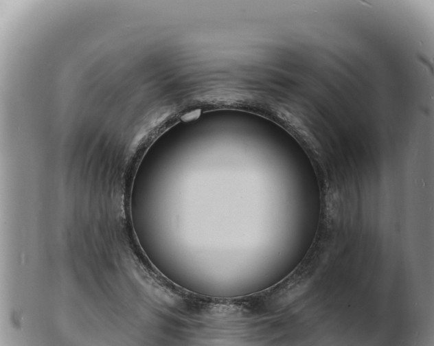 X0000103300399200809051527