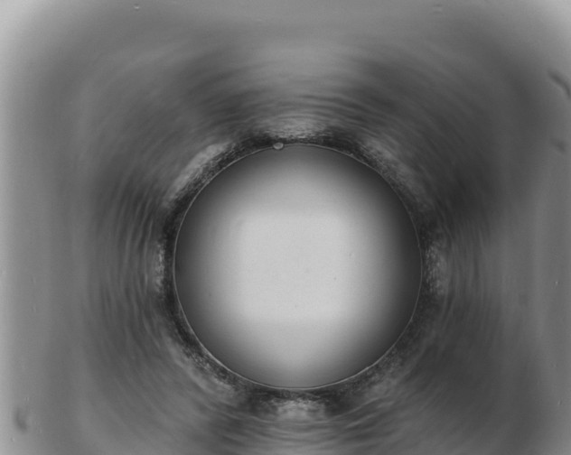 X0000103300400200809051527