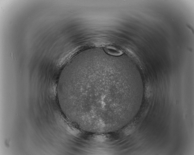 X0000103300405200809051527