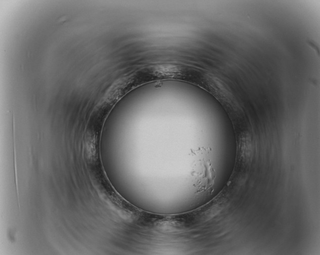 X0000103300408200809051527