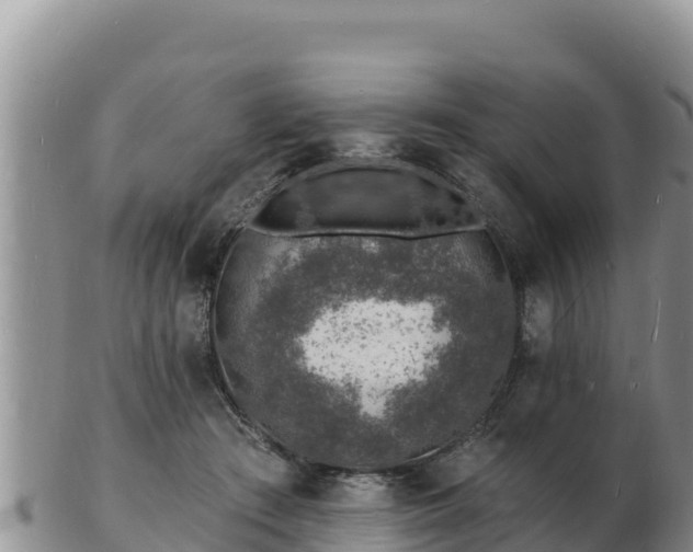 X0000103300409200809051527