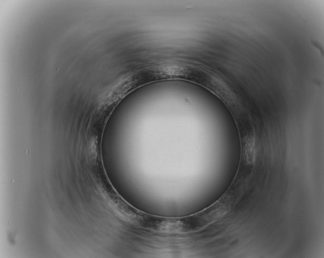 X0000103300410200809051527