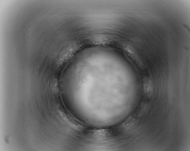 X0000103300411200809051527