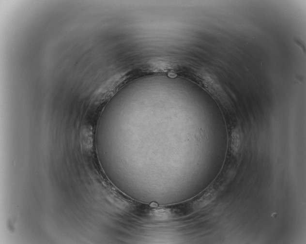 X0000103300413200809051527