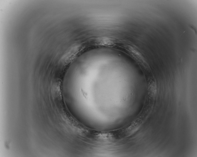 X0000103300415200809051527