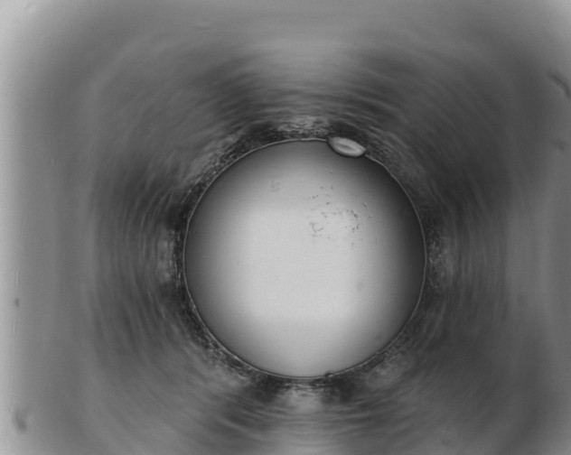 X0000103300416200809051527