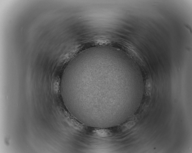 X0000103300417200809051527