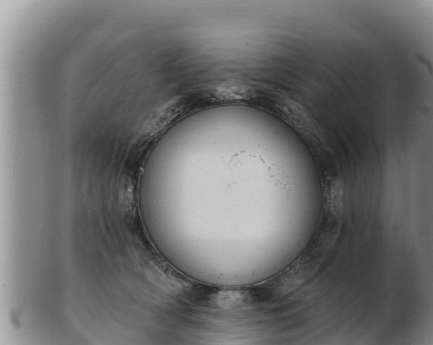 X0000103300418200809051527