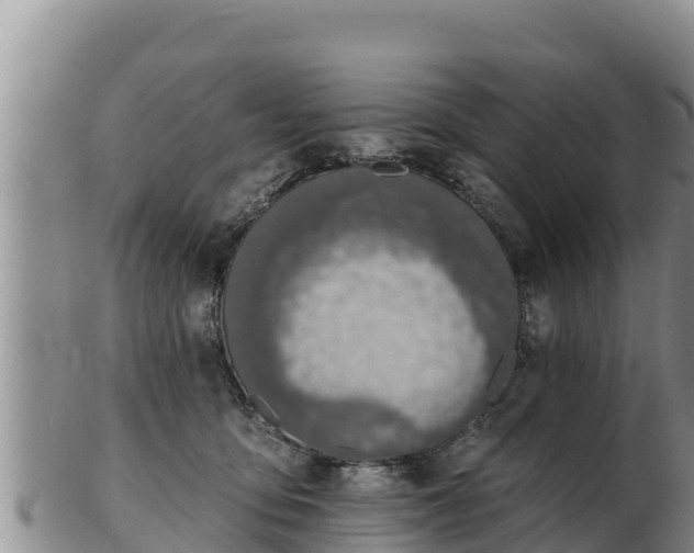 X0000103300419200809051527