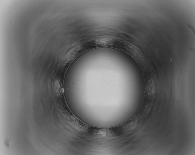 X0000103300420200809051527