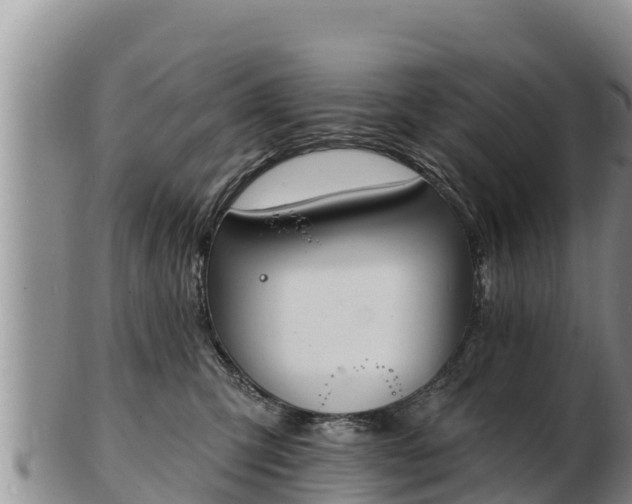 X0000103300423200809051527