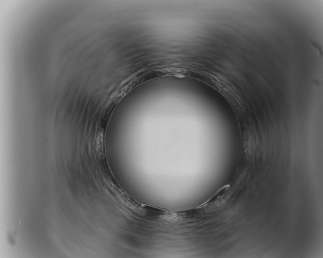 X0000103300425200809051527