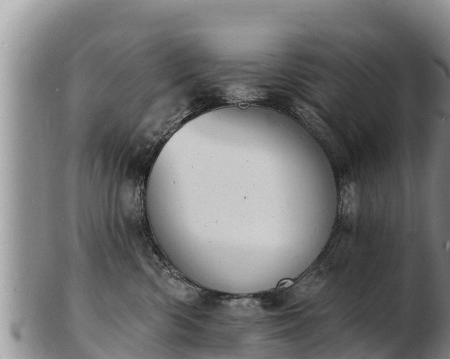 X0000103300426200809051527