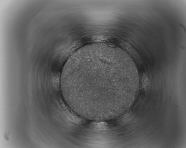 X0000103300427200809051527