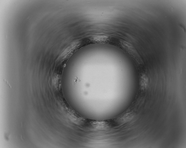 X0000103300428200809051527