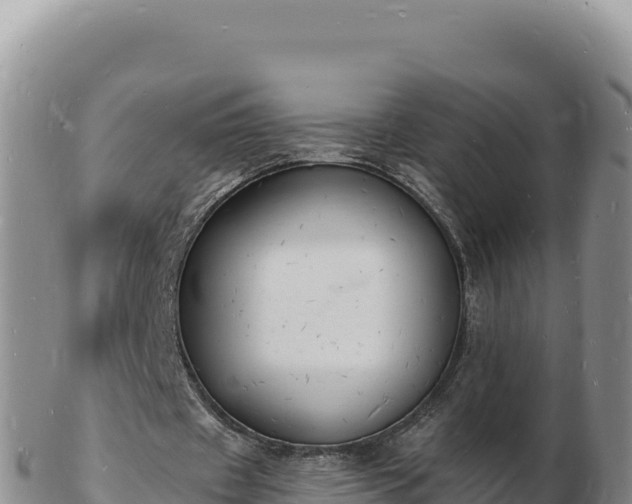 X0000103300433200809051526