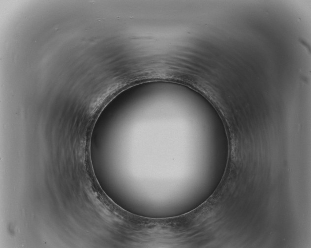 X0000103300434200809051526