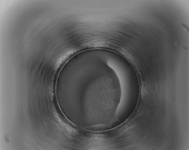 X0000103300438200809051526