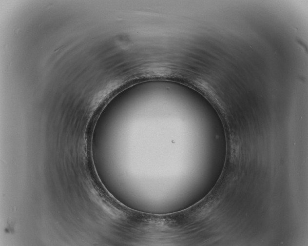 X0000103300439200809051526