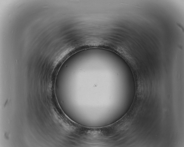 X0000103300440200809051526