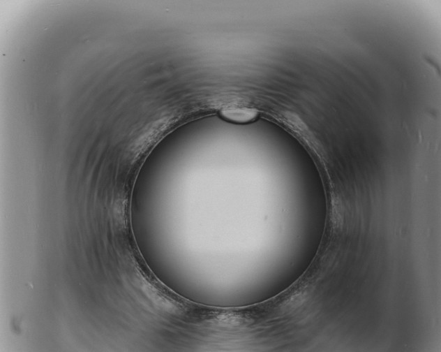 X0000103300441200809051526