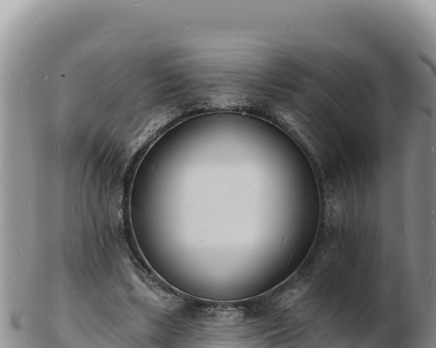 X0000103300443200809051526