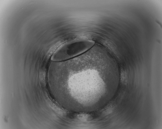 X0000103300444200809051526