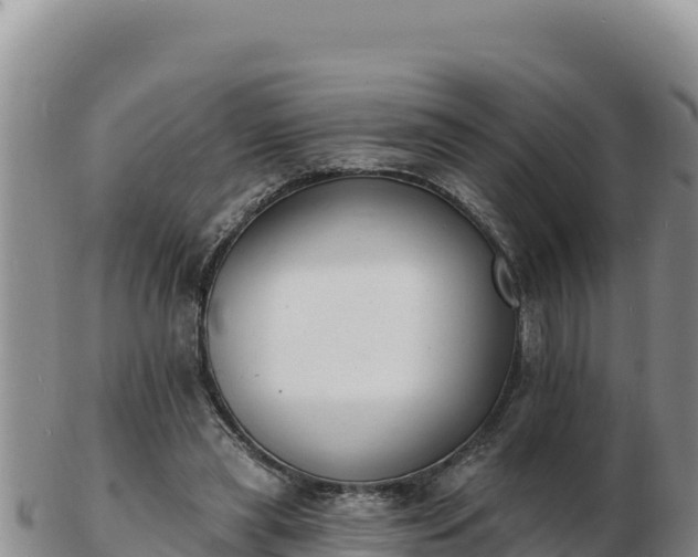 X0000103300445200809051526