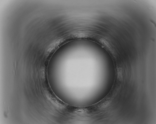 X0000103300447200809051526