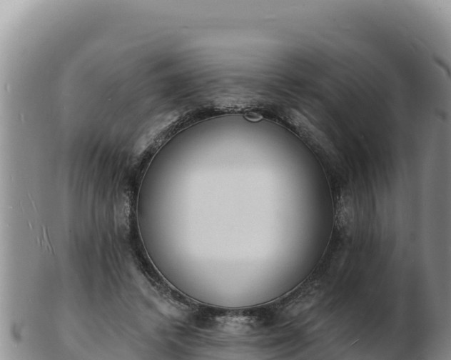 X0000103300448200809051526