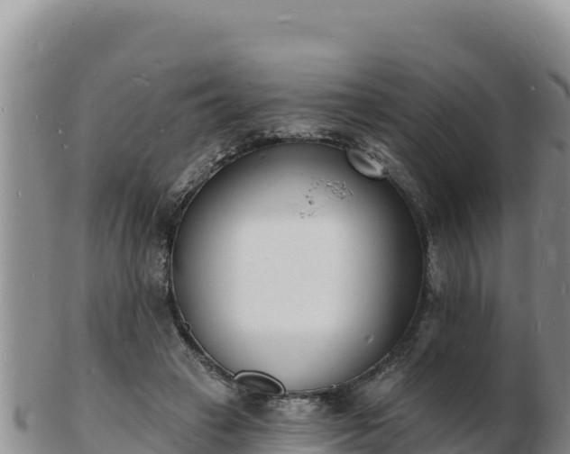 X0000103300449200809051526